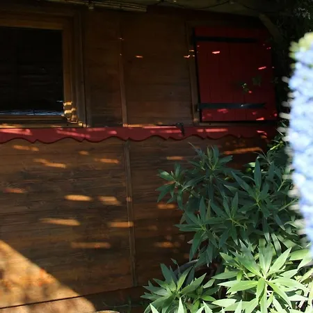 Le Nid Des Crinieres Vagabondes Horská chata Oletta (Corsica)