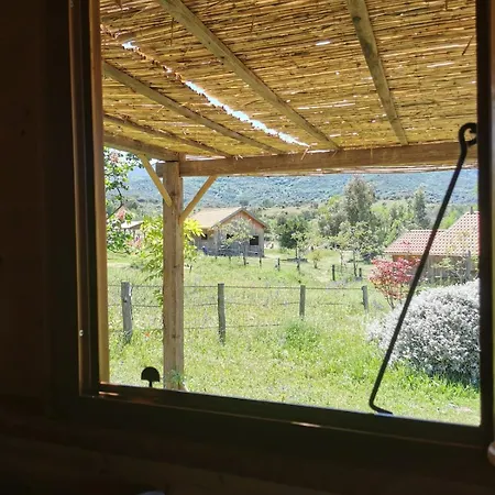 Le Nid Des Crinieres Vagabondes Oletta (Corsica)