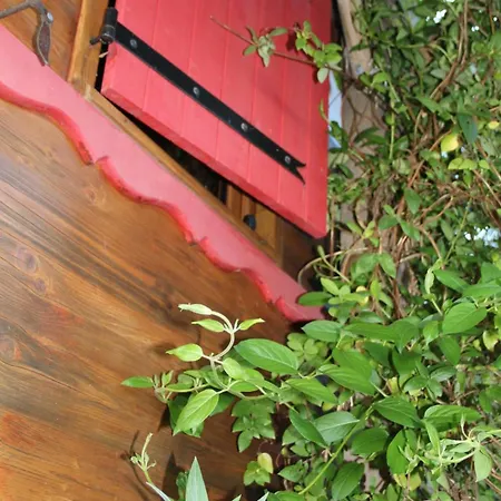 Horská chata Le Nid Des Crinieres Vagabondes Oletta (Corsica)