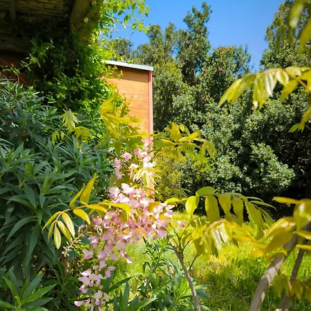 Le Nid Des Crinieres Vagabondes Alpesi faház *