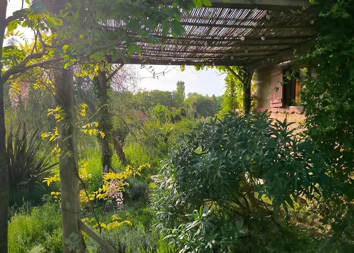 Le Nid Des Crinieres Vagabondes Oletta (Corsica)