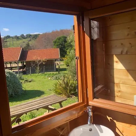 Le Nid Des Crinieres Vagabondes *