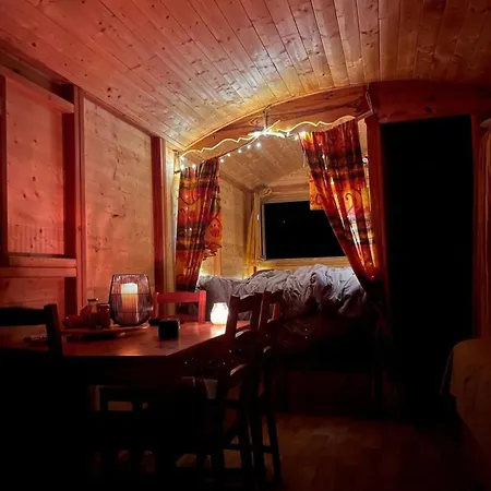 Le Nid Des Crinieres Vagabondes