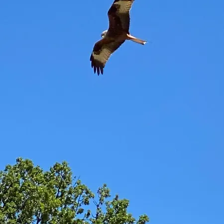 Le Nid Des Crinieres Vagabondes Domek alpejski