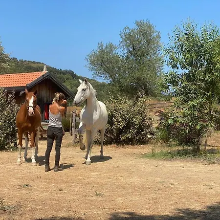 Domek alpejski Le Nid Des Crinieres Vagabondes *