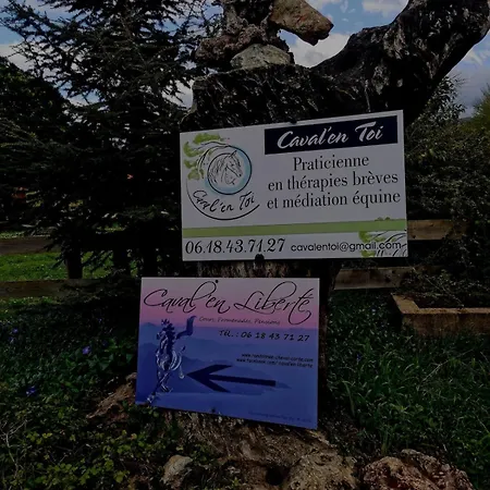 Domek alpejski Le Nid Des Crinieres Vagabondes Oletta (Corsica)