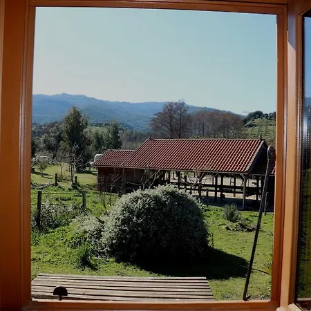 Le Nid Des Crinieres Vagabondes Oletta (Corsica)