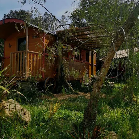 Le Nid Des Crinieres Vagabondes Oletta (Corsica)