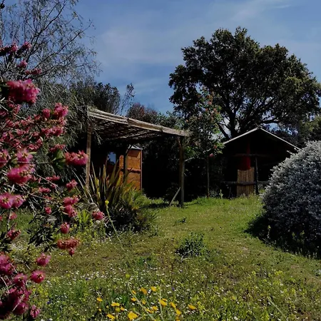 Le Nid Des Crinieres Vagabondes * Oletta (Corsica)