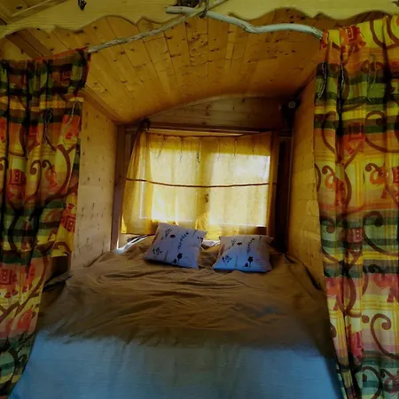 Le Nid Des Crinieres Vagabondes