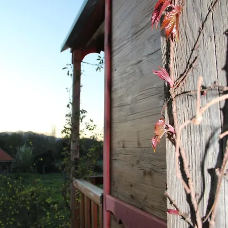 Le Nid Des Crinieres Vagabondes Domek alpejski Oletta (Corsica)