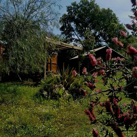 Le Nid Des Crinieres Vagabondes * Oletta (Corsica)