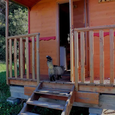 Le Nid Des Crinieres Vagabondes * Oletta (Corsica)