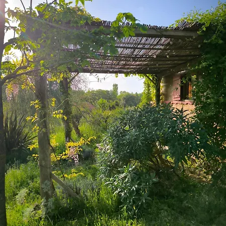 Le Nid Des Crinieres Vagabondes Oletta (Corsica)