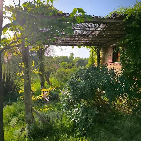 Le Nid Des Crinieres Vagabondes Oletta (Corsica)