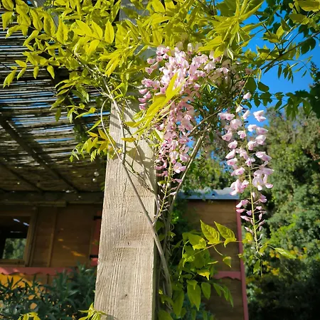 Domek alpejski Le Nid Des Crinieres Vagabondes Oletta (Corsica)