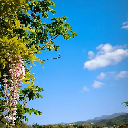 Le Nid Des Crinieres Vagabondes Oletta (Corsica)