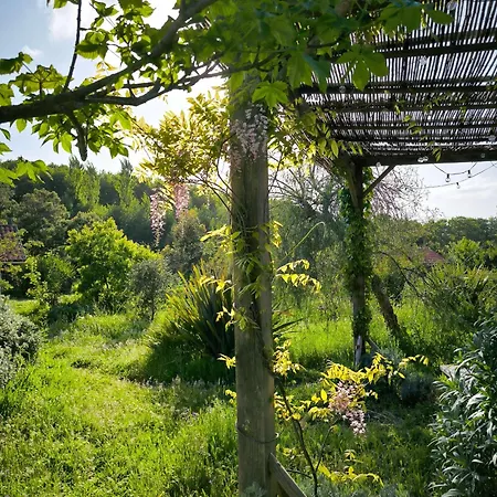 Le Nid Des Crinieres Vagabondes Oletta (Corsica)