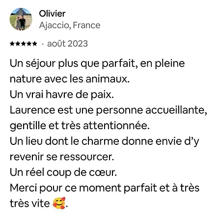 Le Nid Des Crinieres Vagabondes