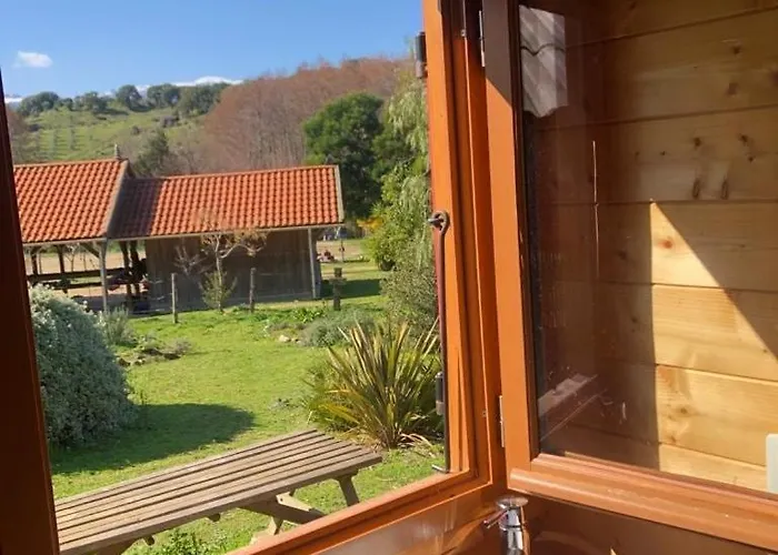 Le Nid Des Crinières Vagabondes *