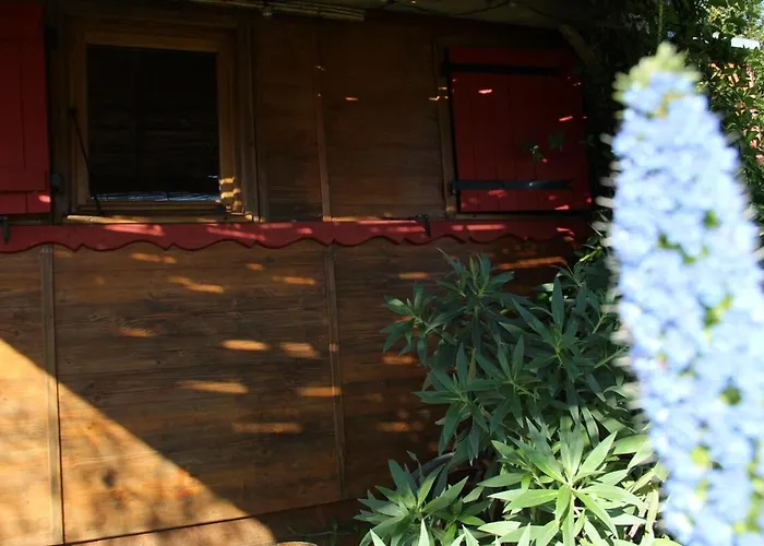 Le Nid Des Crinières Vagabondes Chalet Oletta (Corsica)