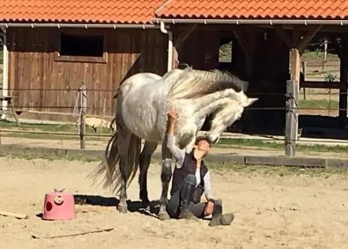 Le Nid Des Crinières Vagabondes Chalet