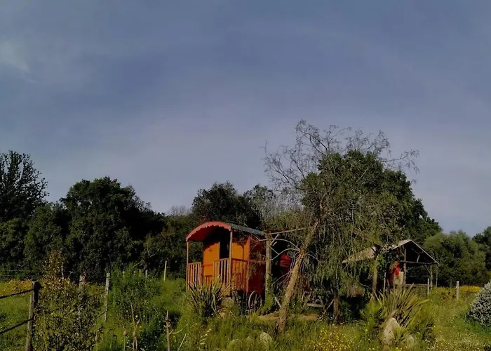 Le Nid Des Crinières Vagabondes *