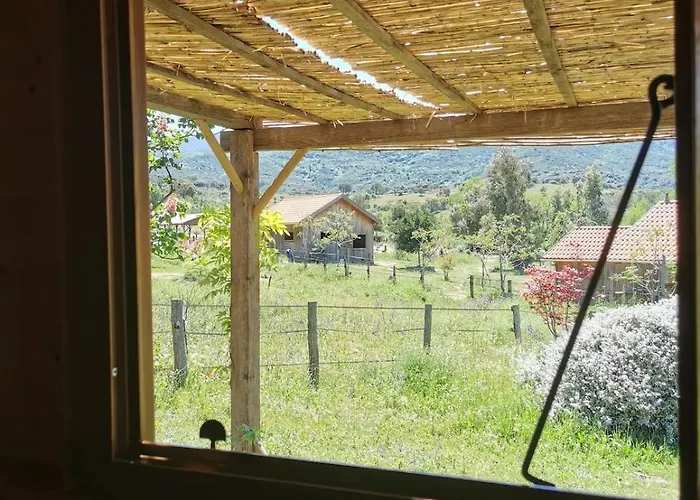 Le Nid Des Crinières Vagabondes Oletta (Corsica)