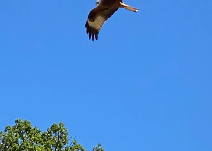 Le Nid Des Crinières Vagabondes Chalet