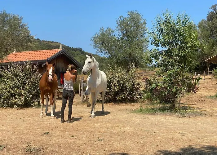 Chalet Le Nid Des Crinières Vagabondes *