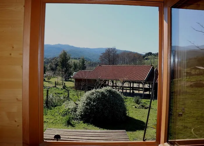 Le Nid Des Crinières Vagabondes Oletta (Corsica)