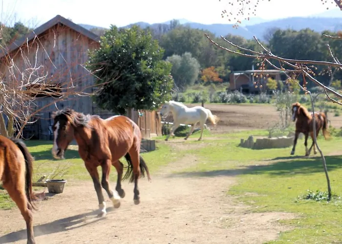 Chalet Le Nid Des Crinières Vagabondes
