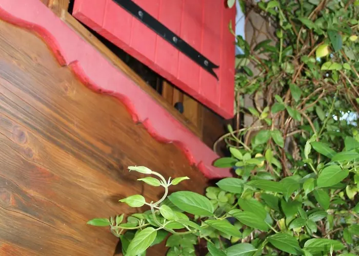 Chalet Le Nid Des Crinières Vagabondes Oletta (Corsica)