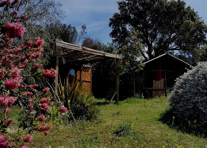 Le Nid Des Crinières Vagabondes * Oletta (Corsica)