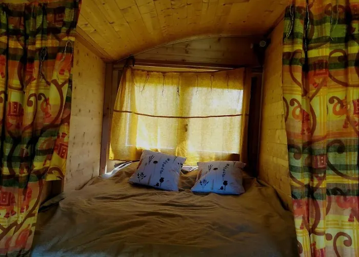 Le Nid Des Crinières Vagabondes