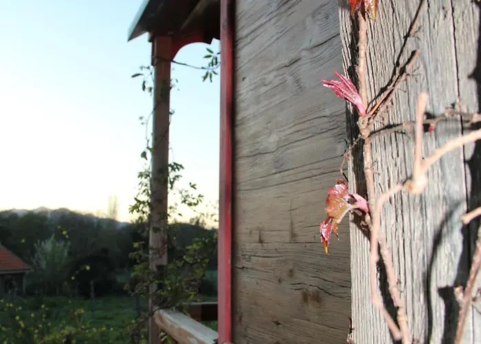 Le Nid Des Crinières Vagabondes Chalet Oletta (Corsica)