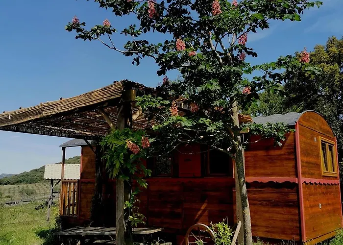 Le Nid Des Crinières Vagabondes