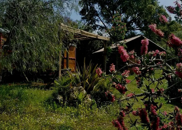 Le Nid Des Crinières Vagabondes * Oletta (Corsica)