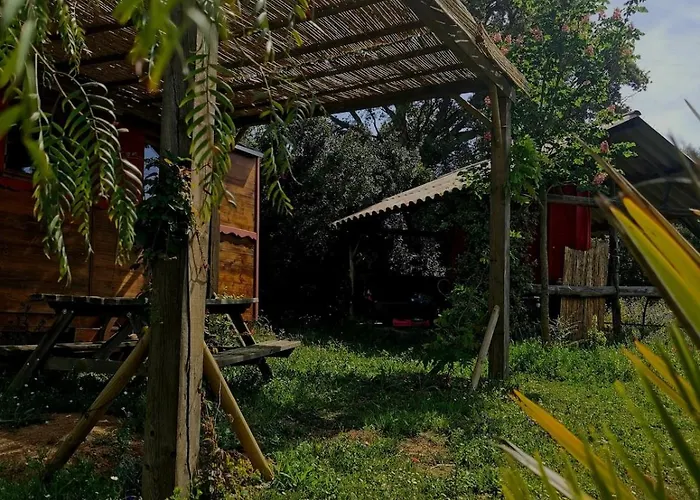 Le Nid Des Crinières Vagabondes Chalet Oletta (Corsica)