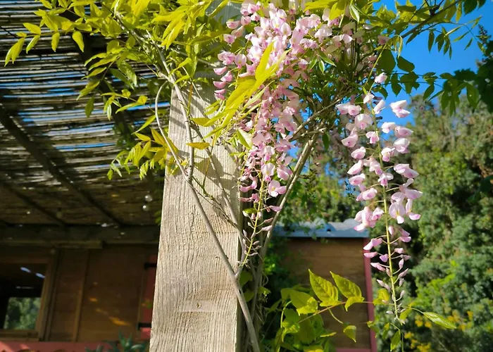 Alpehytte Le Nid Des Crinieres Vagabondes Oletta (Corsica)