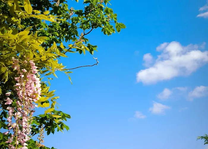 Le Nid Des Crinières Vagabondes Oletta (Corsica)