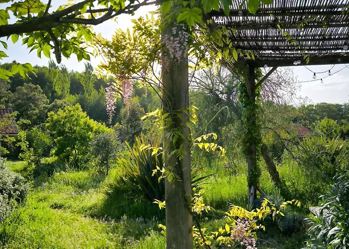Le Nid Des Crinières Vagabondes Oletta (Corsica)